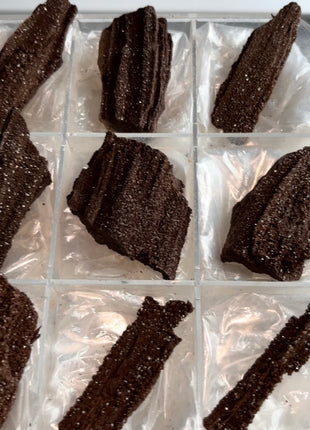 9 Piece Lot ! Rare Permineralized Fossil Wood with Quartz - From Germany