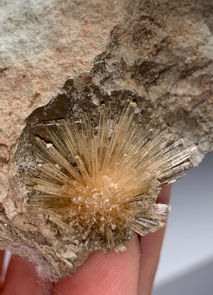 New ! Bursting Sun Aragonite Ball in Cluster - From Pantoja, Spain