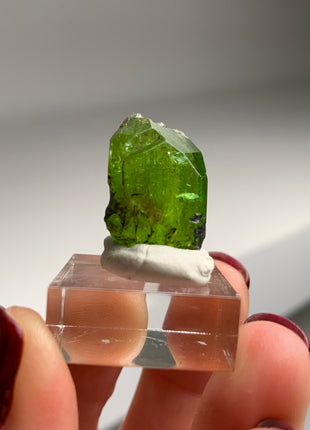 Green Diopside - Merelani Hills, Tanzania
