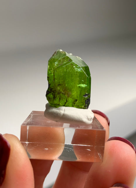 Green Diopside - Merelani Hills, Tanzania