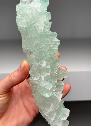 Amazing ! Seafoam Green Halite - From Lubin mine, Poland