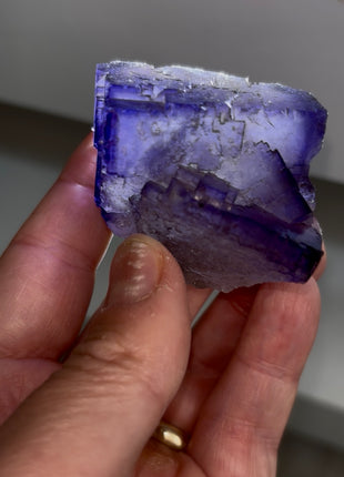 Blurple Fluorite from Muzquiz, Mexico