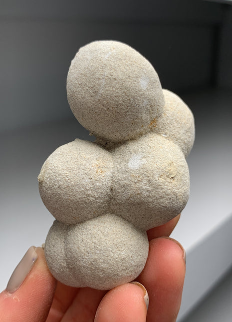 Unusual ! Spherical Calcite after Sandcalcite from Hungary