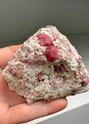 Raspberry Grossular Garnet Specimens Lot ! 6 Pieces !