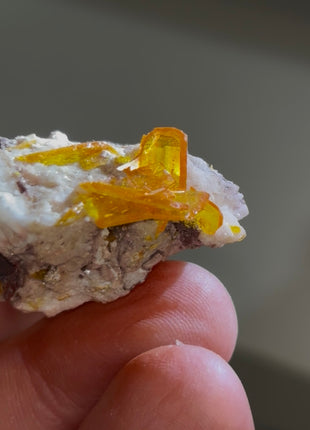 Wulfenite from Rowley mine, Arizona