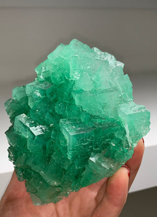 Very High Grade Green Halite - From Lubin mine, Poland