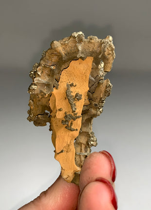 Unusual ! Pyrite on Rock Matrix Specimen