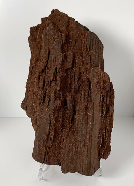 Stunning and Rare Permineralized Fossil Wood with Quartz From Germany - 5+ kgs ! *