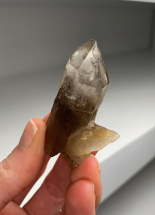 Smoky Phantom Quartz Lot - Hallelujah Junction, Nevada - 6 Pieces !