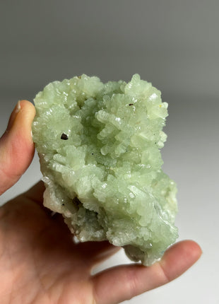 4 Pieces ! Druzy Apple Green Prehnite Lot - big size