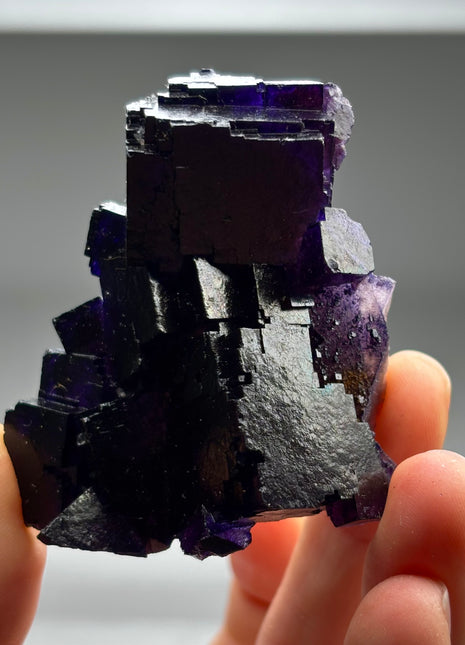 Extra Dark Purple Fluorite from Muzquiz, Mexico