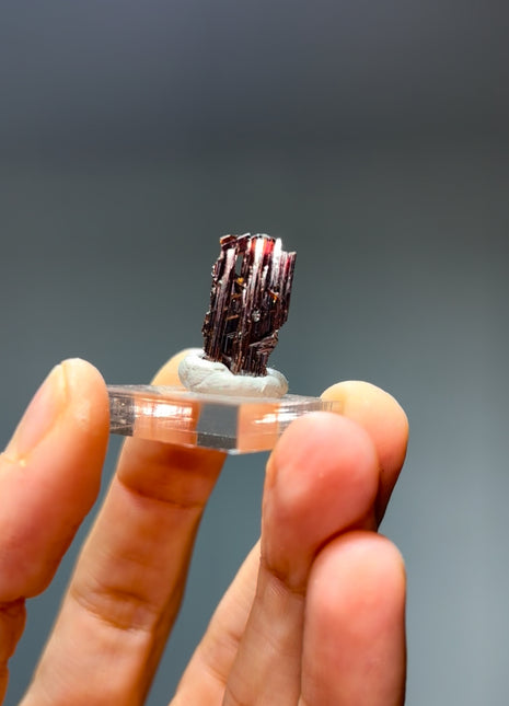 Red Rutile from Diamantina mine, 1990s find