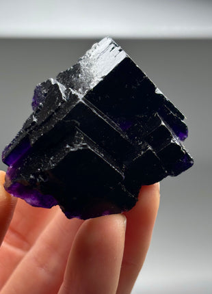 Extra Dark Purple Fluorite from Muzquiz, Mexico