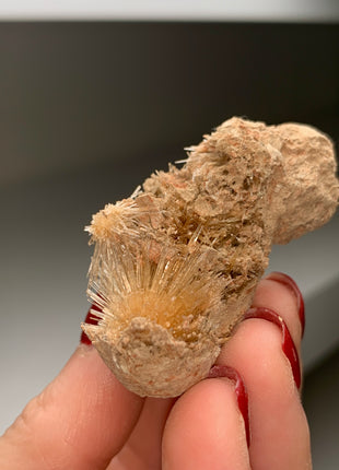 Bursting Sun Aragonite in Cluster - From Pantoja, Spain