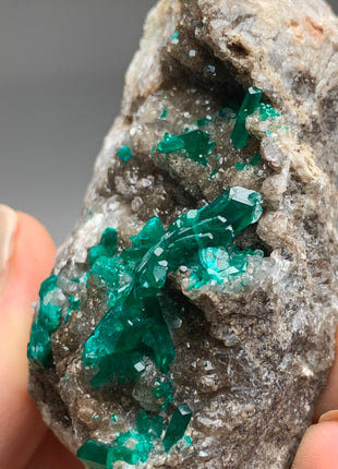 Emerald Green Dioptase with Great Terminations