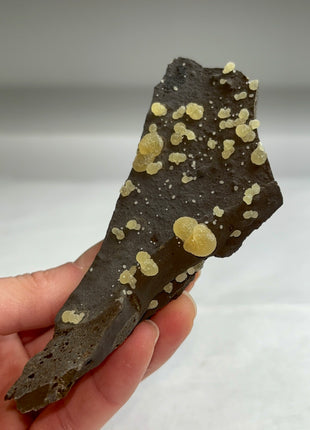 Botryoidal Calcite from Montalto di Castro, Italy