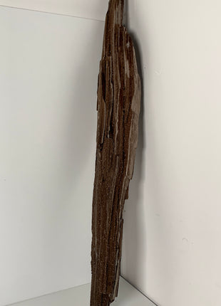 Stunning and Rare Permineralized Fossil Wood with Quartz From Germany - 26” (67 cm) *