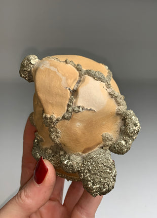 Unusual ! Pyrite on Rock Matrix Specimen