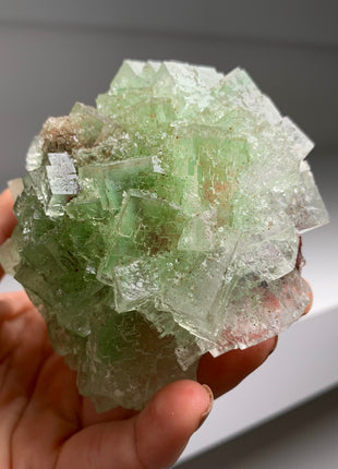 Rare Bicolor Transparent Green Halite - From Lubin mine, Poland