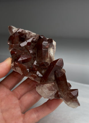 Red Chocolate Quartz