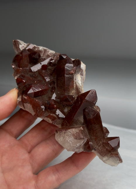 Red Chocolate Quartz