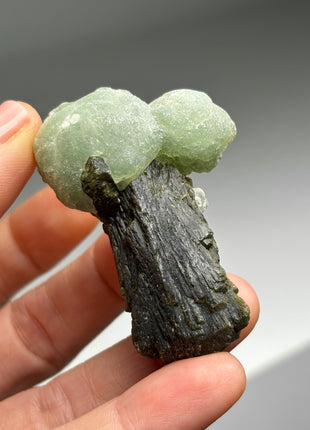 12 Pieces ! High Grade Apple Green Prehnite with Epidote Lot - From Mali