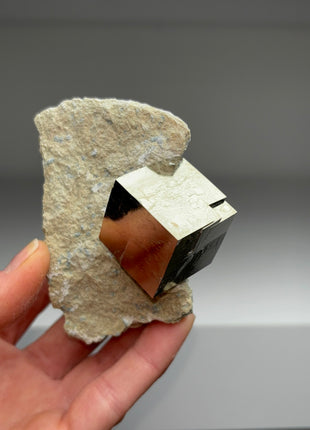 New ! Cubic Pyrite on Matrix from Navajun, Spain