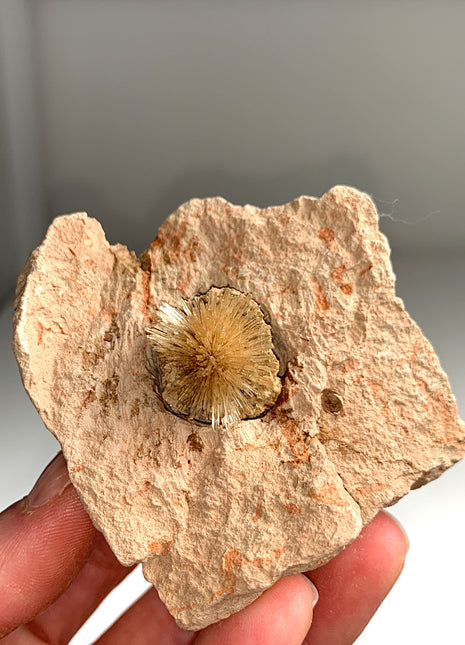 Bursting Sun Aragonite Ball in Cluster - From Pantoja, Spain
