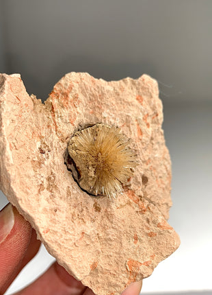 Bursting Sun Aragonite Ball in Cluster - From Pantoja, Spain