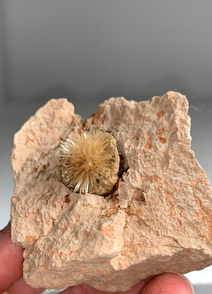 Bursting Sun Aragonite Ball in Cluster - From Pantoja, Spain