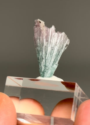 Pink Blue Bicolor Tourmaline Spray