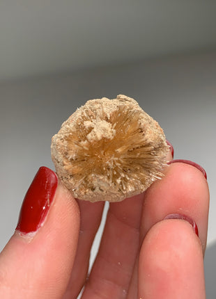 New Arrival ! Bursting Sun Aragonite Ball - From Pantoja, Spain