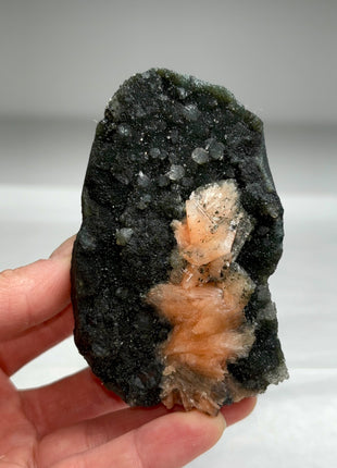 Druzy Black Chalcedony Geode with Pink Stilbite