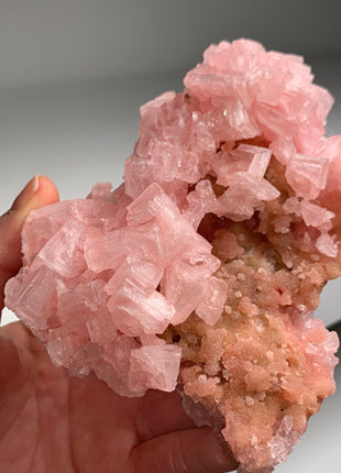 New ! Pink Halite with Great Crystallization - from Searles Lake, California
