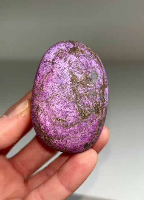 Velvet Purpurite