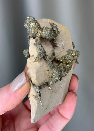 Wild ! Pyrite on Rock Matrix Specimen