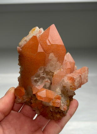 New arrival ! Red Passion Quartz