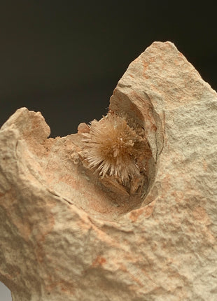 Bursting Sun Aragonite in Cluster - From Pantoja, Spain