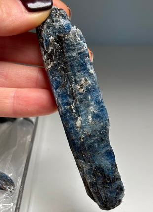 XL Size Blue Kyanite with Mica - From Zambia - 12 Pieces