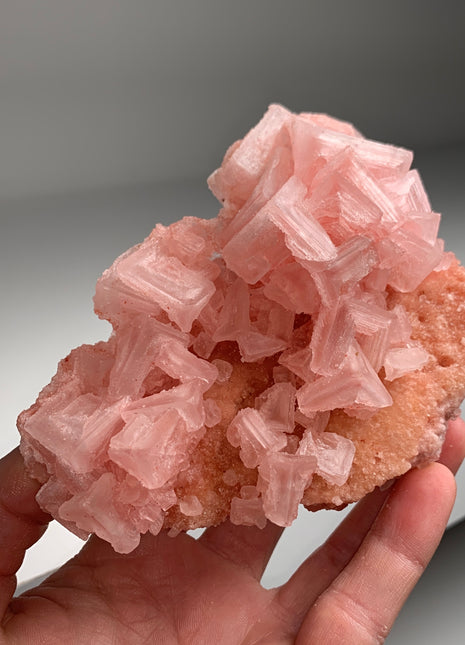 New ! Pink Halite with Great Crystallization - from Searles Lake, California