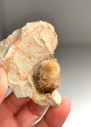 Bursting Sun Aragonite Ball in Cluster - From Pantoja, Spain