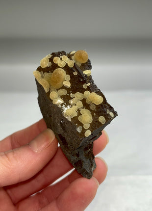 Botryoidal Calcite from Montalto di Castro, Italy