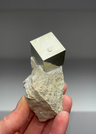 New ! Cubic Pyrite on Matrix from Navajun, Spain