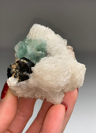 New ! Glassy Black Tourmaline with Snow Albite Flowers and Green Fluorite