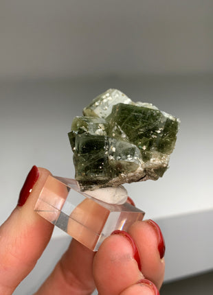 Green Apatite from Panasqueira mine PM047