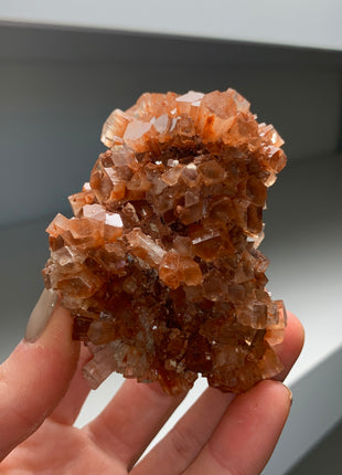 Lustrous Aragonite Disco Ball 🪩 Special Price 💥