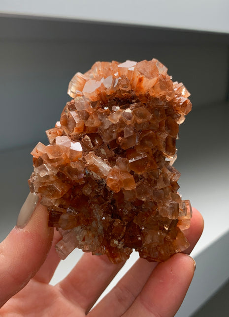 Lustrous Aragonite Disco Ball 🪩 Special Price 💥