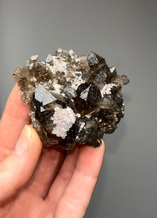 New ! Alpine Smoky Quartz