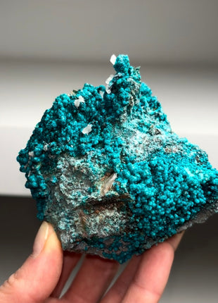 Rich Blue Chrysocolla