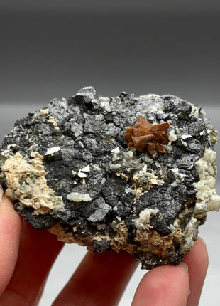 Helvite Flower on Magnetite Special Price 💥